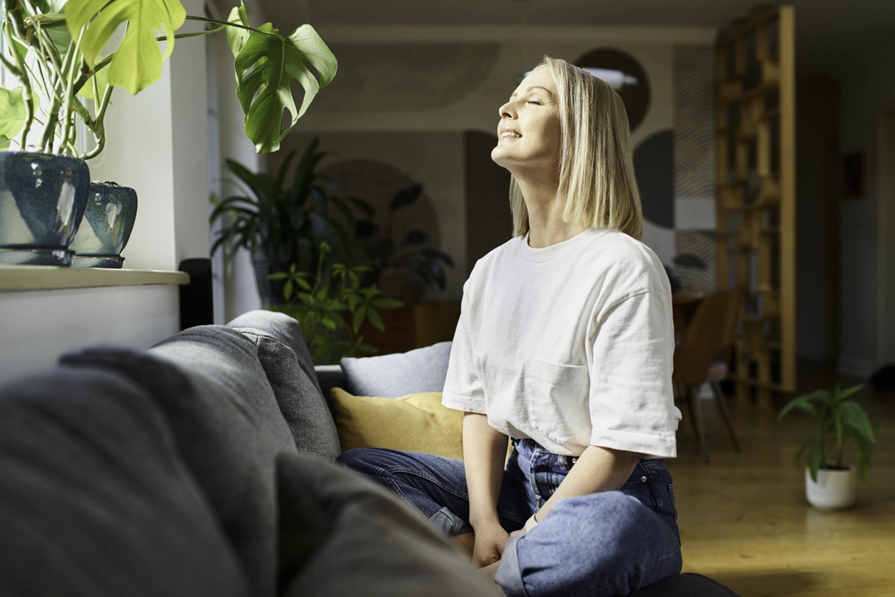 All-Elements-Indoor-Air-Quality-Row-Image
